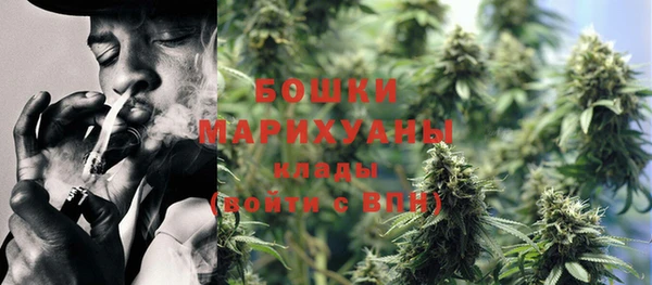 амф Богданович