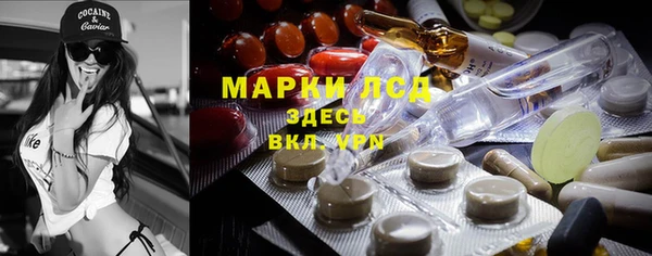 амф Богданович