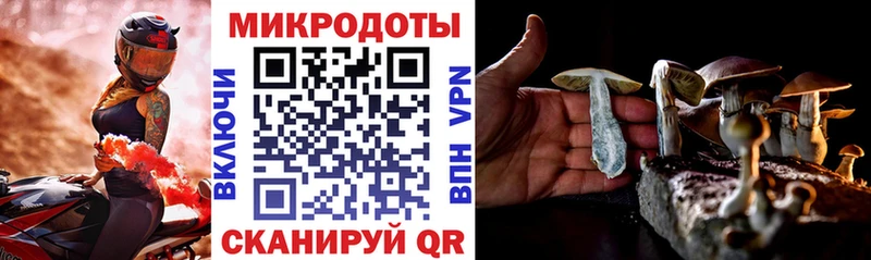 Купить  Гатчина  Псилоцибиновые грибы MAGIC MUSHROOMS 